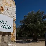 Lägenhet Olea Razáta