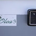Olea