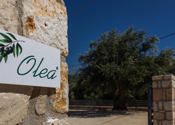 Apartament Olea Razáta