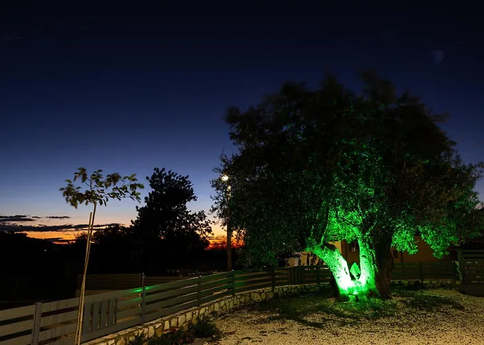 Olea Lejlighed *